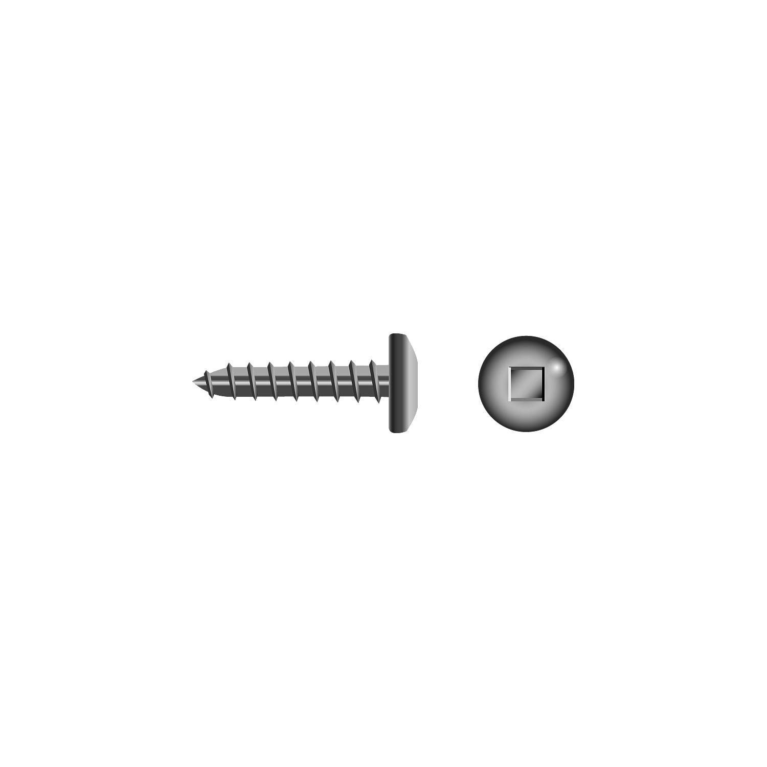 Square Tapping Screw - Pan Head, #10 x 3/4"
