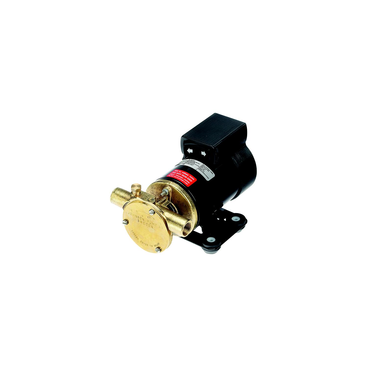 Johnson Pump 102476003 F3B-19 Reversible Oil Change Pump, 12V
