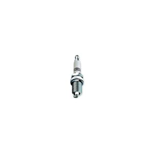 Champion Spark Plugs, D21, #502 6/Pack 64989