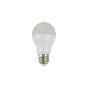 Scandvik A19 LED Bulb