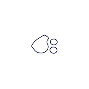 Outdrive Gasket