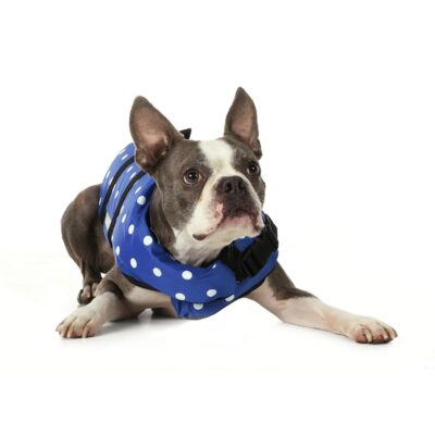Seachoice 86280 Dog Life Vest - Blue Polka Dot, Sm - Image 2