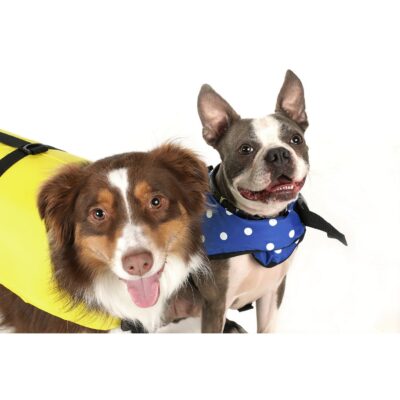 Seachoice 86280 Dog Life Vest - Blue Polka Dot, Sm - Image 4