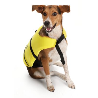 Seachoice 86300 Dog Life Vest - Yellow, XXS - Image 5