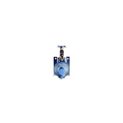 Trident 1211-1401 Marine LPG Wall Mount Single Stage Regulator with 20" Pigtail Hose