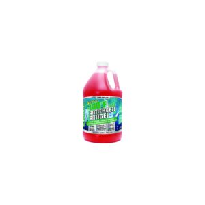 Starbrite 31500PK -100F Non-Toxic Premium Antifreezee, Gal., Red